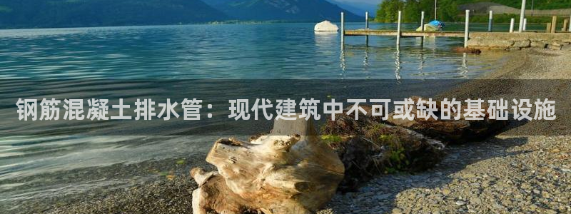 天辰娱乐分红