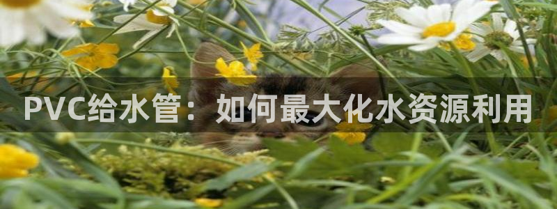天辰娱乐娱乐注册