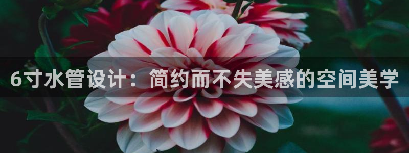 天辰(娱乐注册