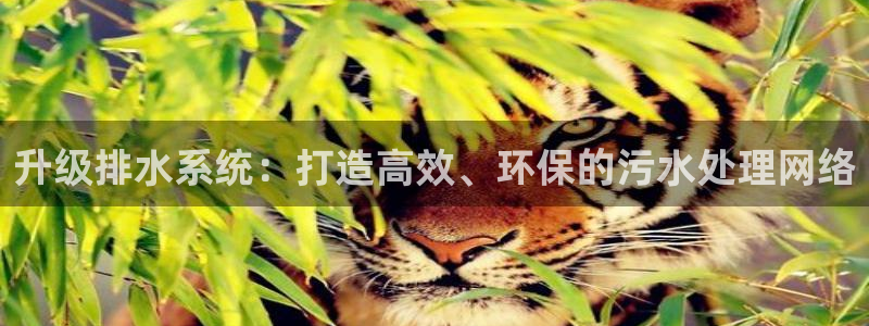 天辰娱乐ttf