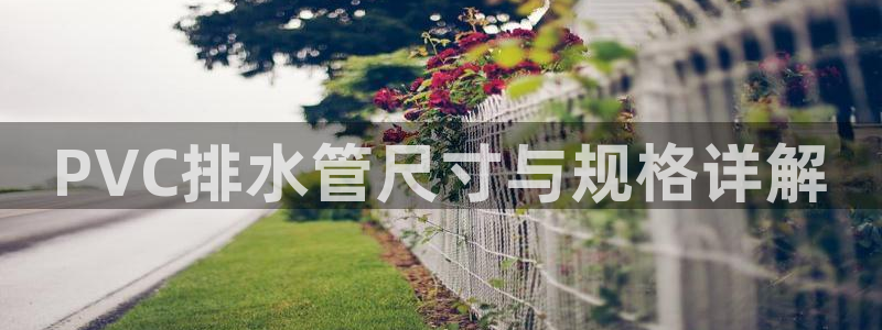 天辰娱乐游客