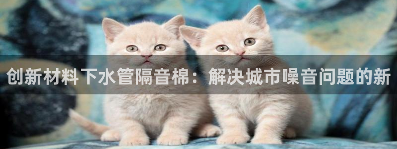 天辰娱乐 主管