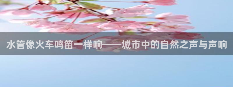 天辰娱乐白屏