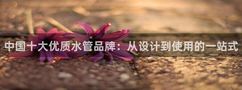 南京天辰娱乐