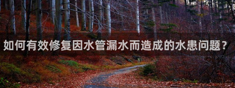 天辰娱乐怎么样