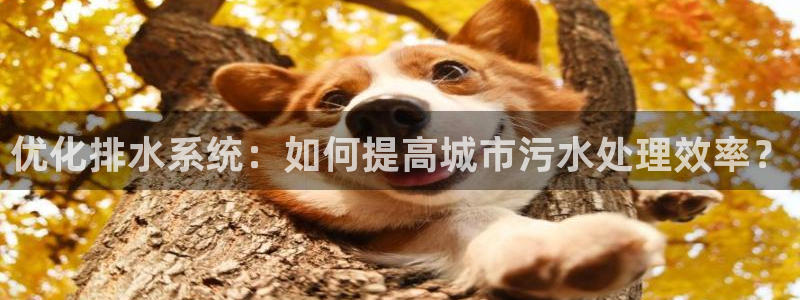 天辰娱乐app