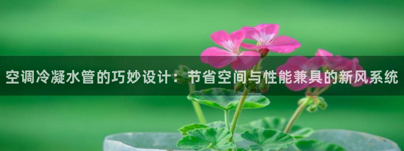天辰娱乐官方