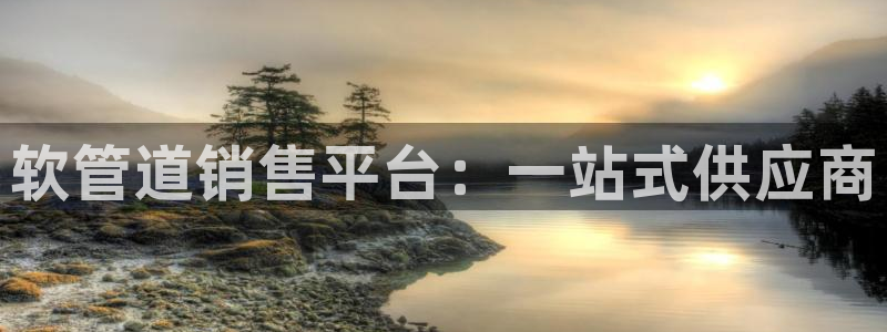 天辰娱乐鱼刺