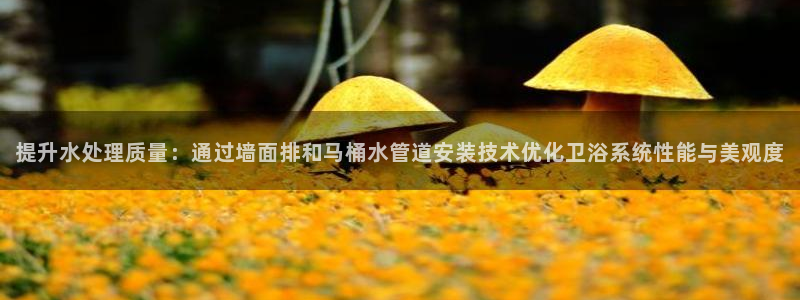天辰娱乐招商