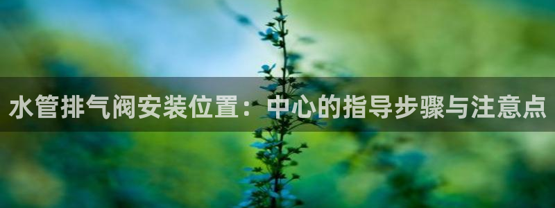 天辰娱乐小姐