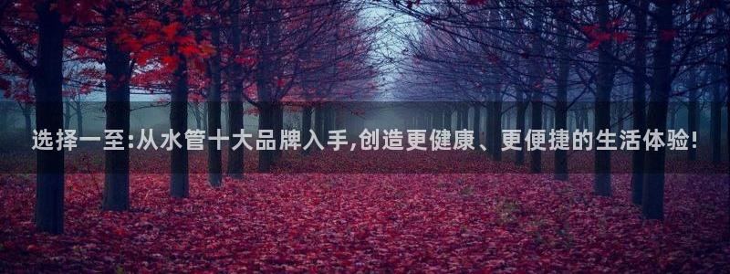 天辰娱乐