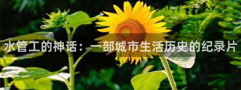 天辰娱乐路线