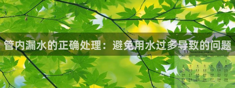 天辰娱乐服务