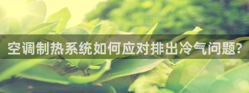 天辰娱乐天辰宝
