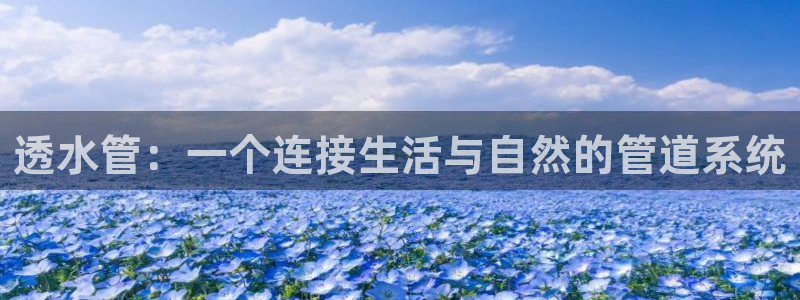 天辰娱乐1956