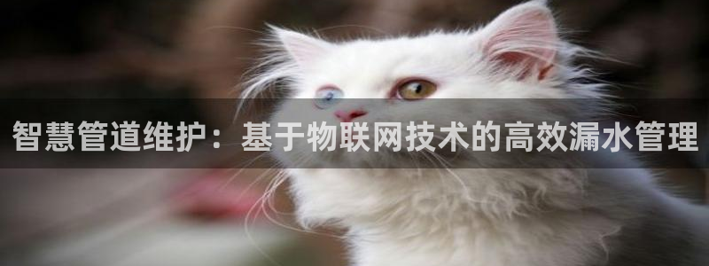 天辰娱乐论坛