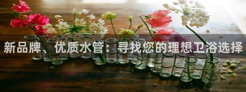 天辰臣娱乐