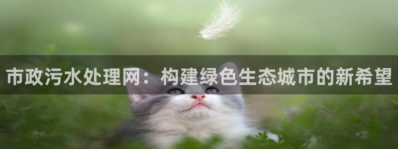 天辰娱乐的网址首页