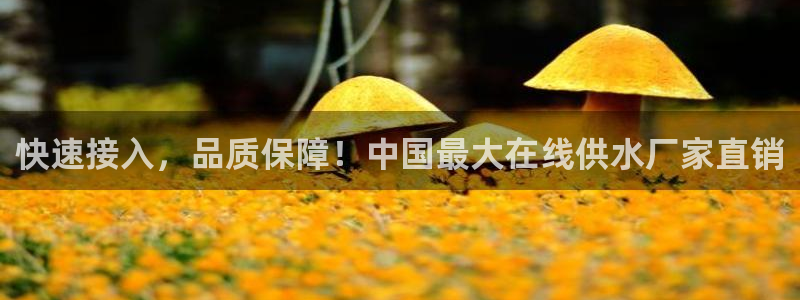 天辰娱乐22650