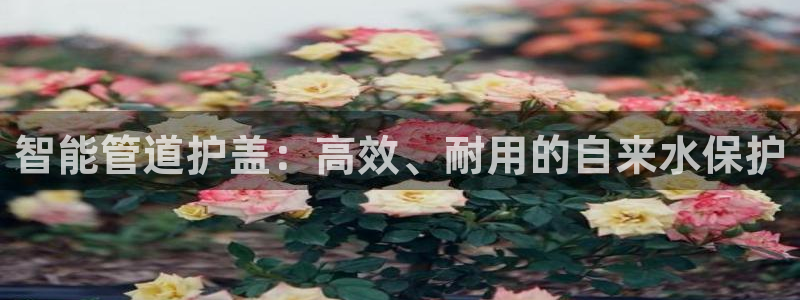 天辰娱乐