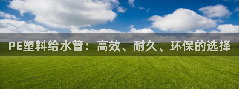 天辰娱乐海洋