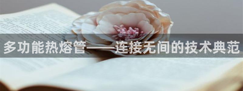 天富娱乐与天辰娱乐