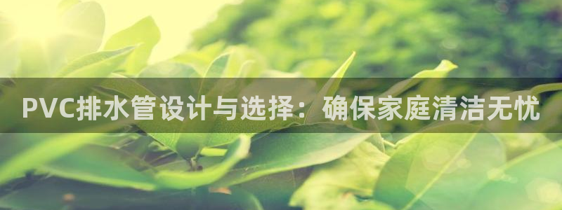 天辰娱乐1966