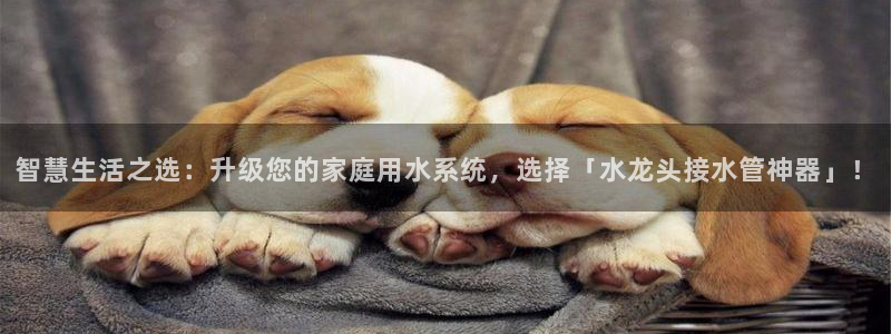 天辰娱乐股票