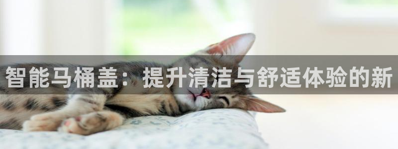 天辰娱乐入口