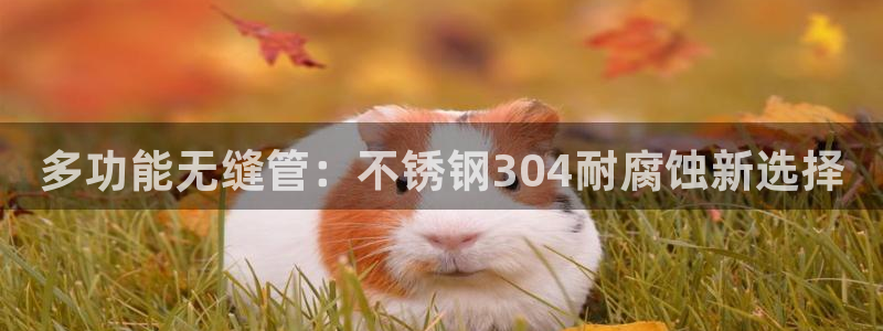 天辰娱乐小妹