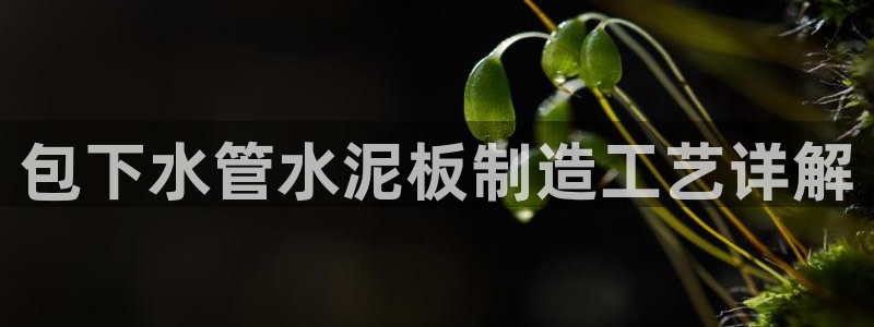 菲律宾天辰娱乐