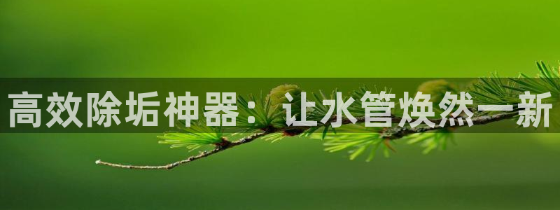 天辰娱乐_675138