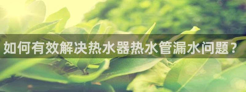 天辰娱乐服务
