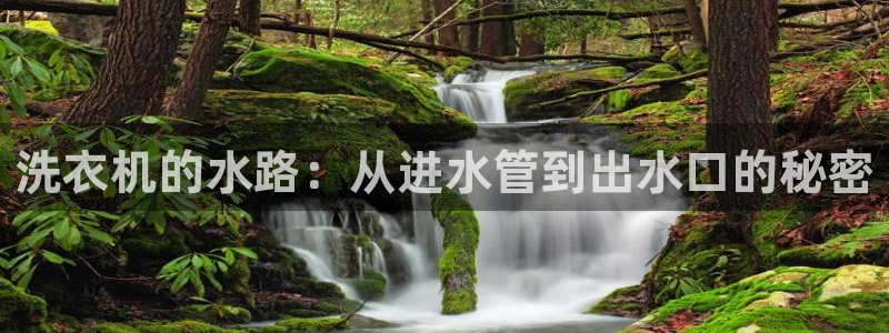 天辰娱乐44616