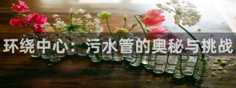 天辰娱乐小姐