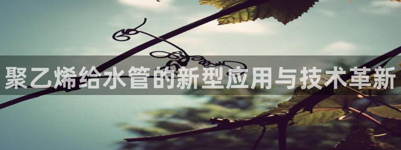天辰娱乐44616
