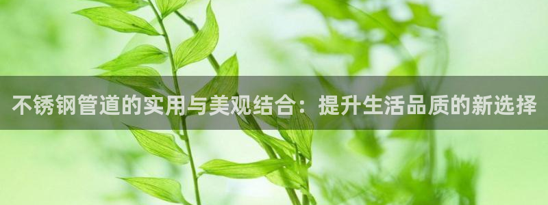 天辰娱乐公司