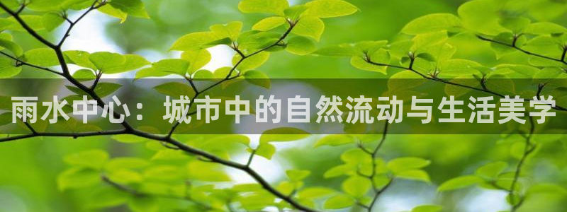 天辰宝娱乐