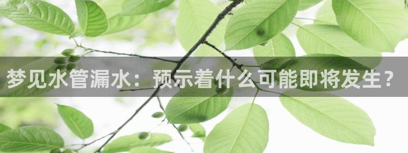 天辰娱乐挂机