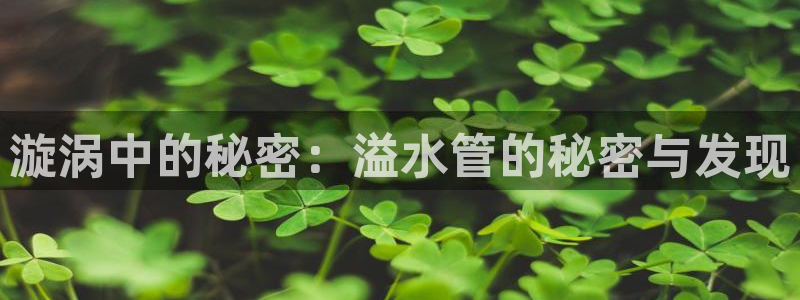 天辰娱乐直属