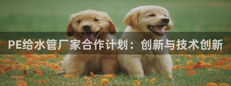 天辰娱乐官方网