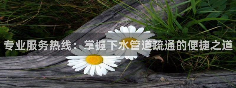天辰娱乐