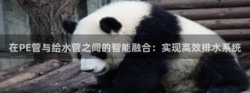 天辰娱乐上级
