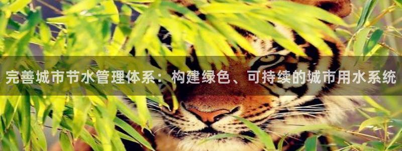 天辰娱乐新闻