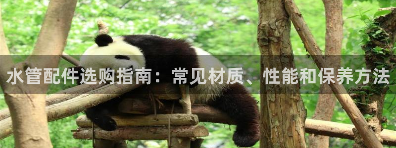 天辰宝娱乐