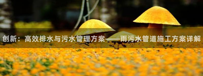 天辰娱乐557696