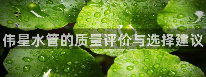 天辰娱乐厕所