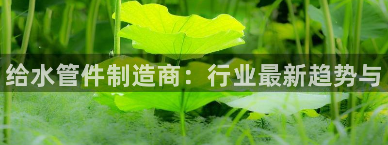 天辰娱乐上级