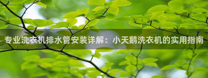 天辰娱乐解封