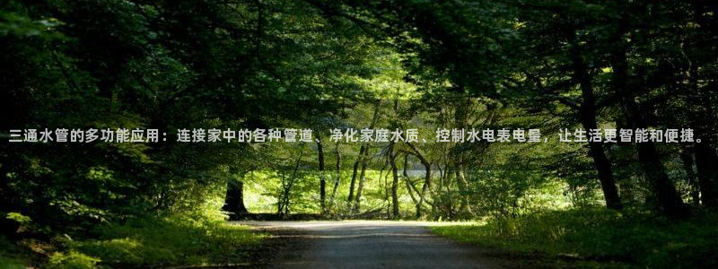 天辰娱乐彩票